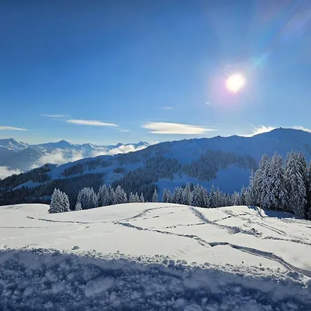 By Franz - Alpine In Kirchberg Apart-hotel